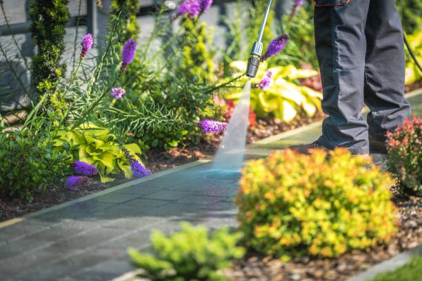 Best Patio and Deck Pressure Washing  in Mentone, IN